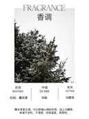 Velas Aromáticas Perfumadas de Lavanda Decorativa Linda Verde